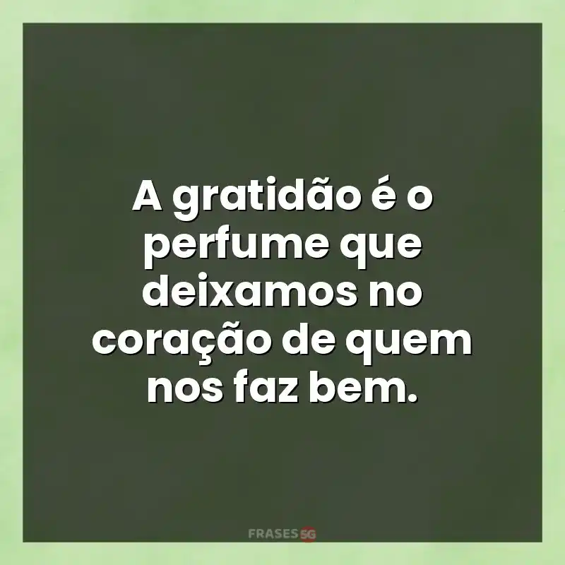 Mensagens para status: A gratidão é o perfume que deixamos no coração de quem nos faz bem.