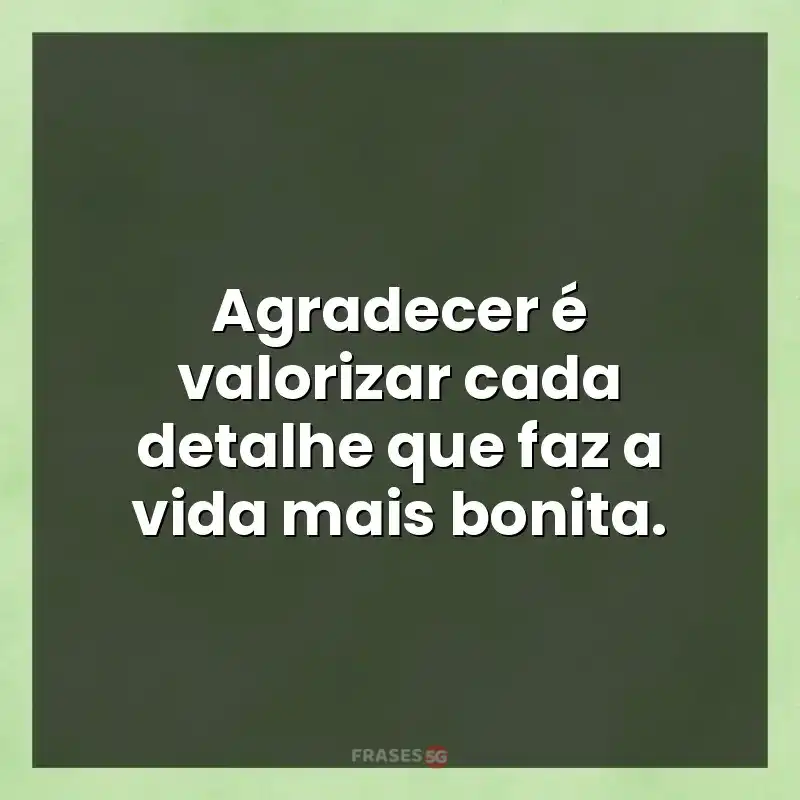 Frases de efeito com mensagens: Agradecer é valorizar cada detalhe que faz a vida mais bonita.