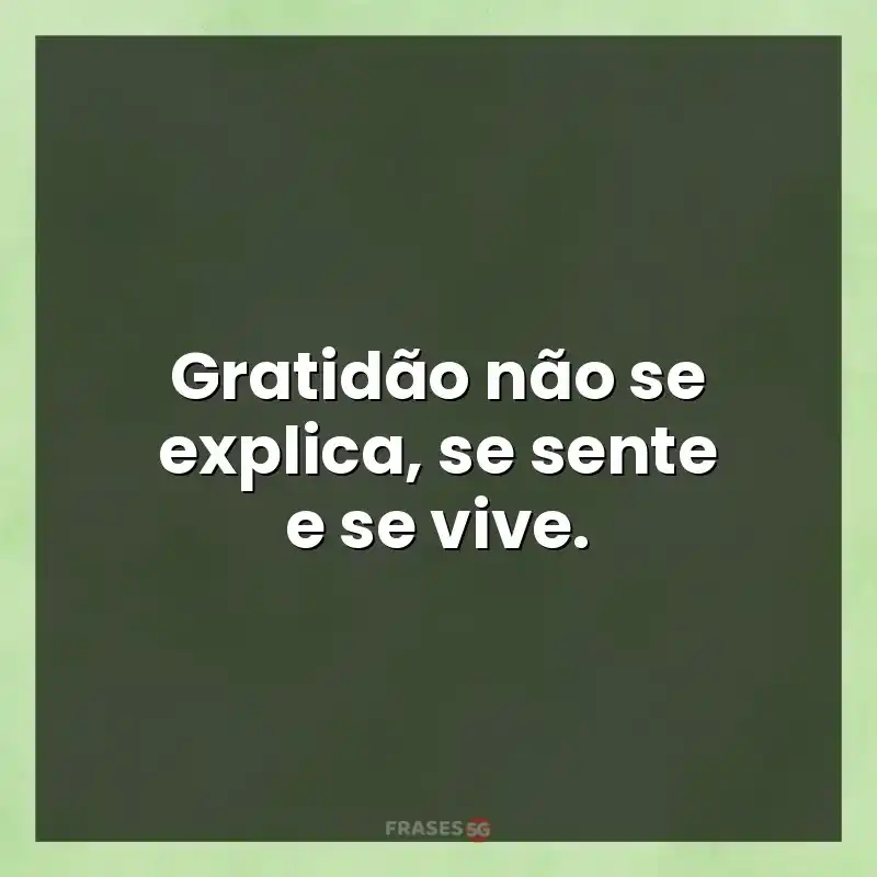 Mensagens para status: Gratidão não se explica