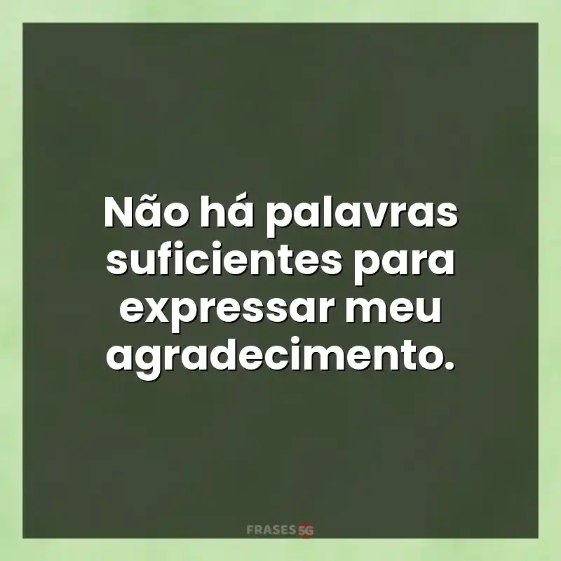 Mensagens e frases: Não há palavras suficientes para expressar meu agradecimento.