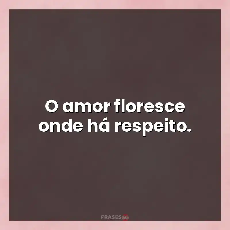 Mensagens para compartilhar: O amor floresce onde há respeito.