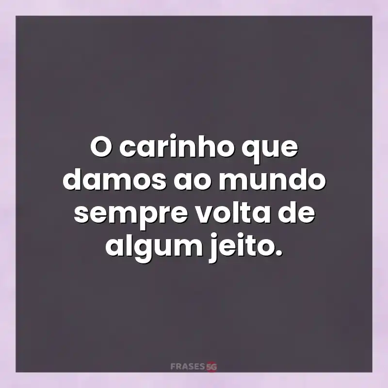 Mensagens para status: O carinho que damos ao mundo sempre volta de algum jeito.