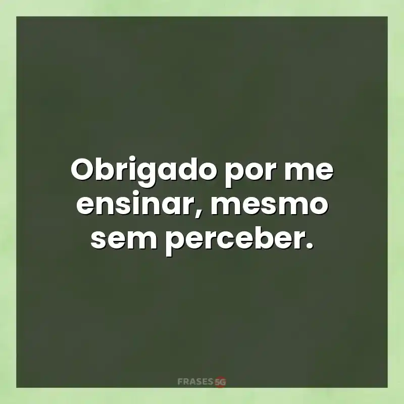 Melhores mensagens: Obrigado por me ensinar