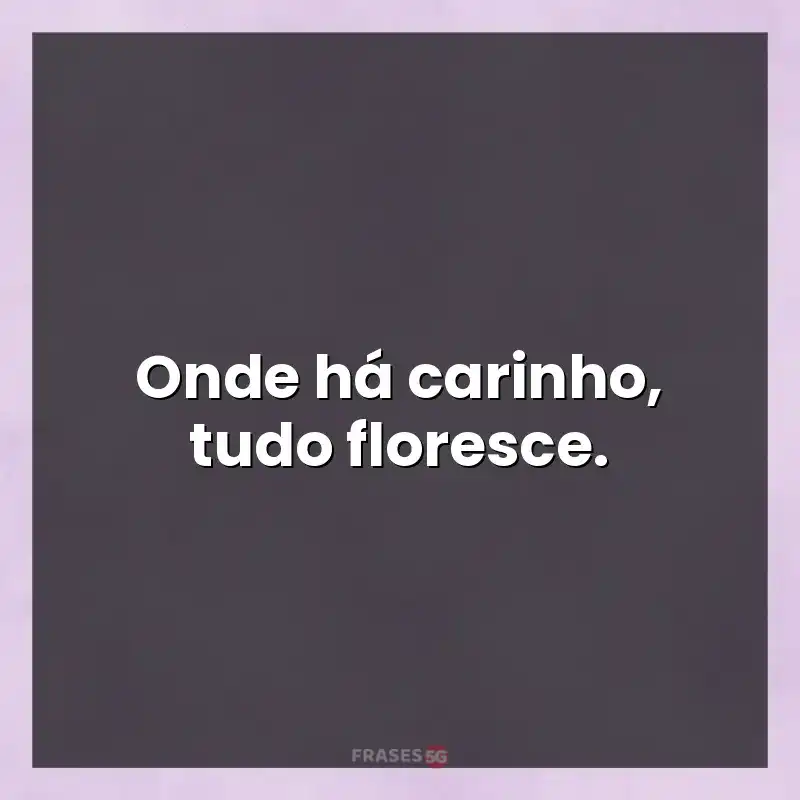 Melhores mensagens: Onde há carinho