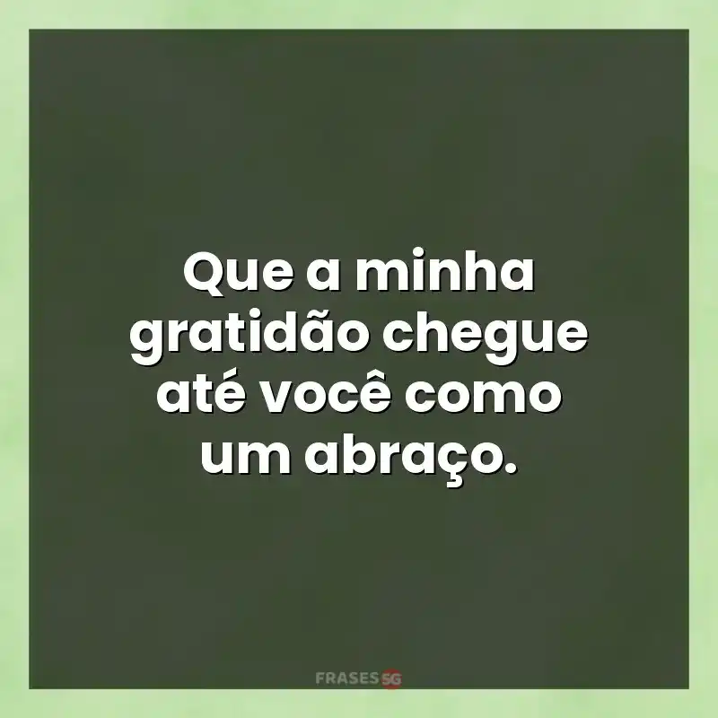 Mensagens para você: Que a minha gratidão chegue até você como um abraço.