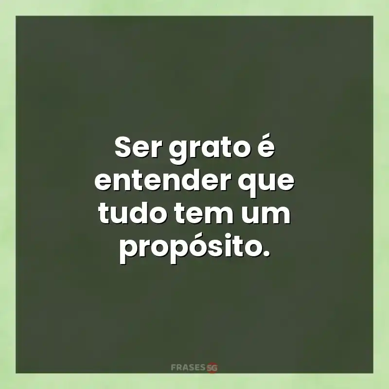 Mensagens de auto-estima: Ser grato é entender que tudo tem um propósito.