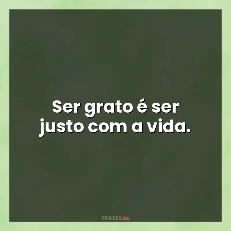 Frases de efeito com mensagens: Ser grato é ser justo com a vida.