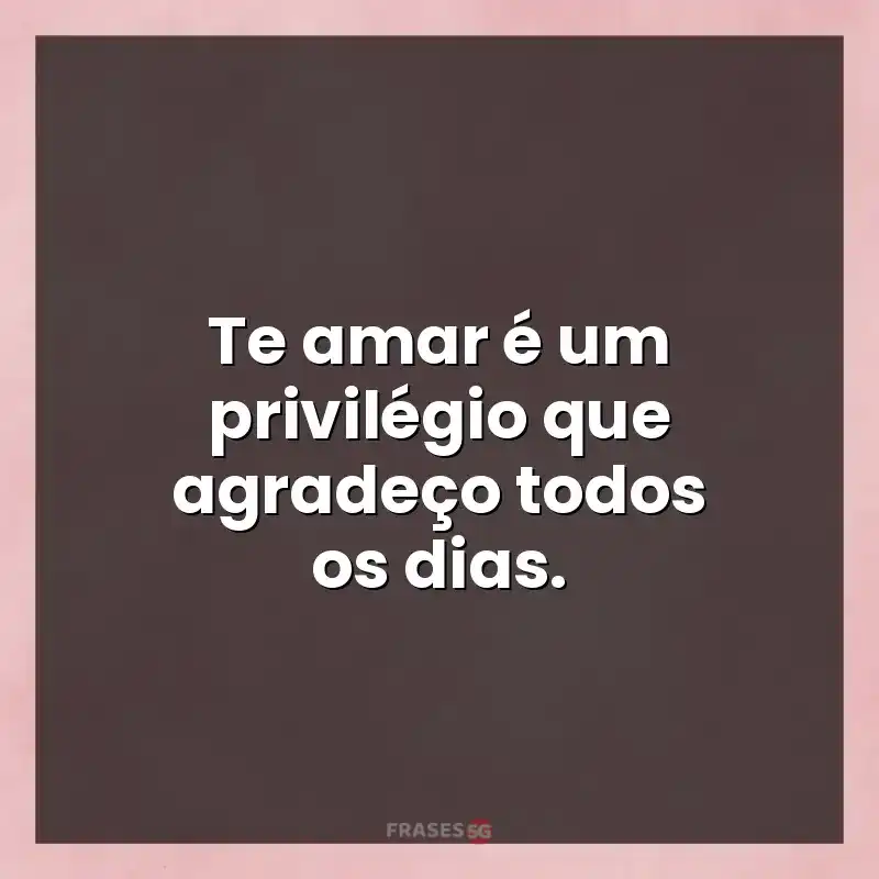Melhores mensagens: Te amar é um privilégio que agradeço todos os dias.