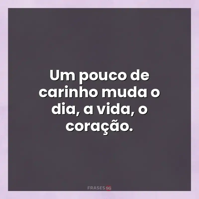 Mensagens e frases: Um pouco de carinho muda o dia