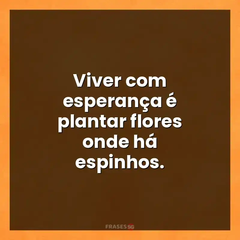 Mensagens de auto-estima: Viver com esperança é plantar flores onde há espinhos.