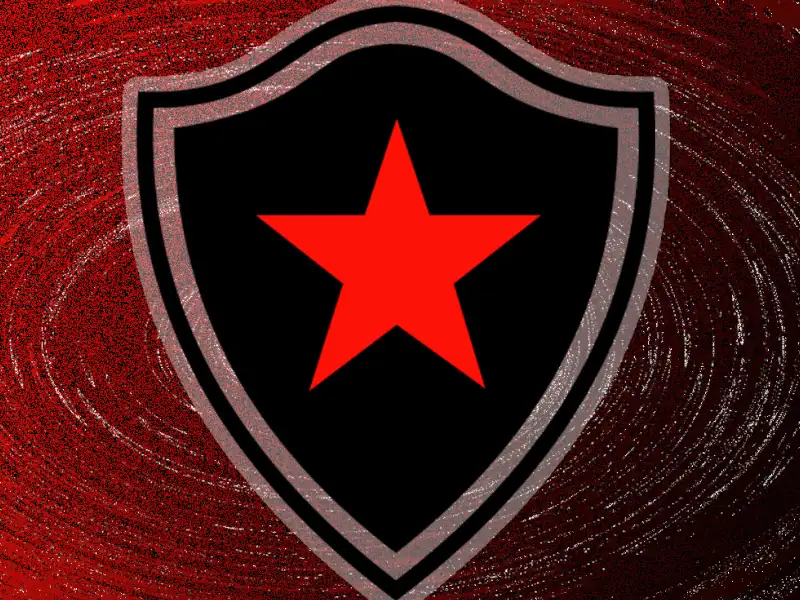 Frases do Botafogo-SP
